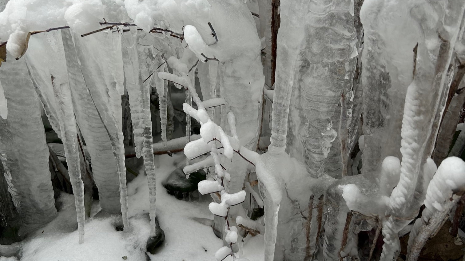 Catching Up After a Winter Storm