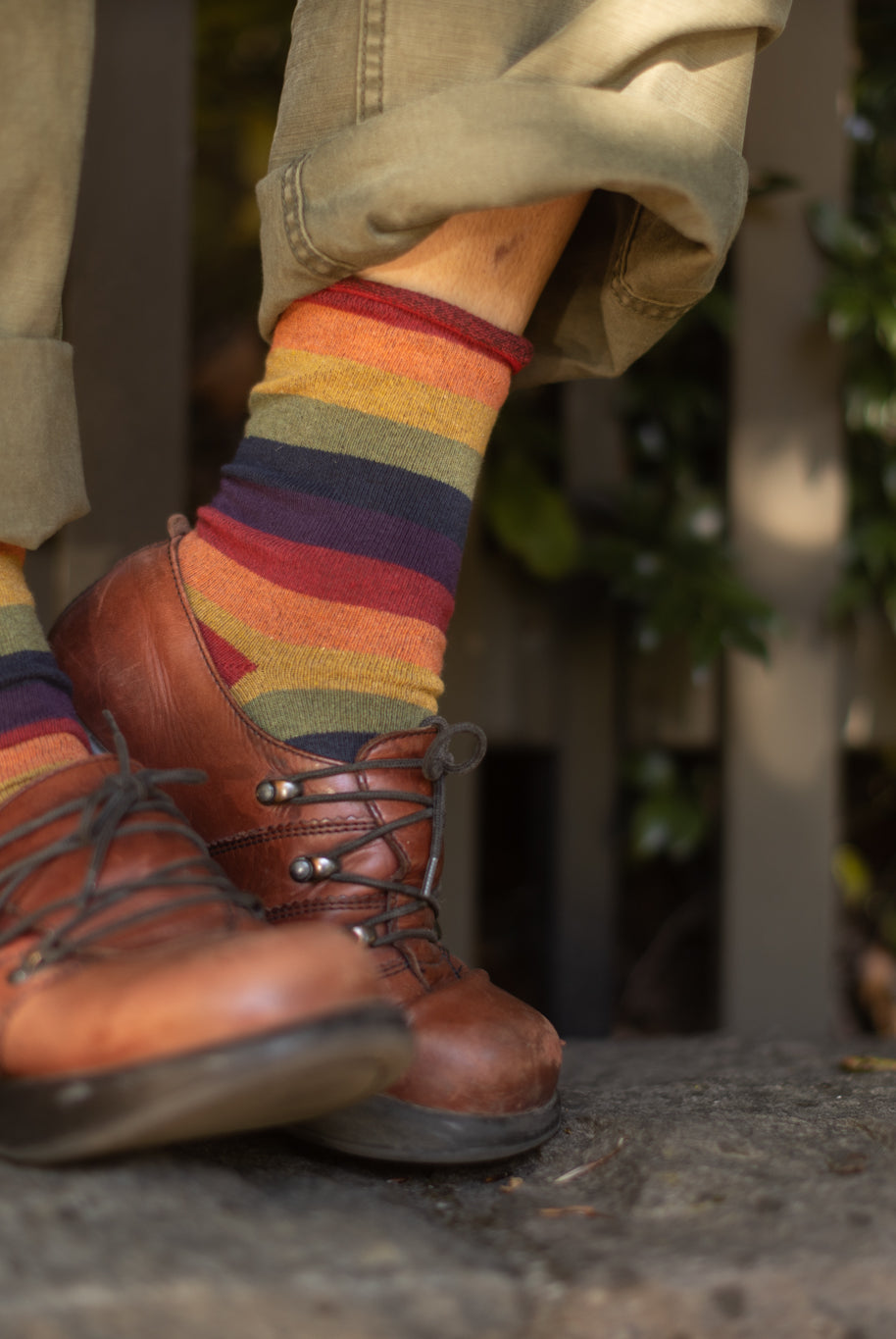 Roll Top Crew - Harvest Rainbow