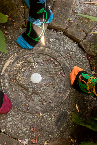 Botanical Nouveau Crew Socks - group shot