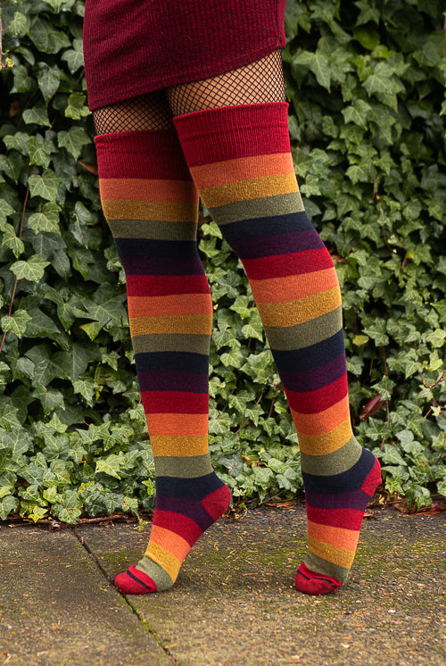 Harvest Rainbow Thigh High Socks