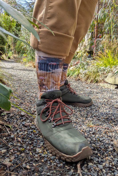 Highland Cows Printed Crew