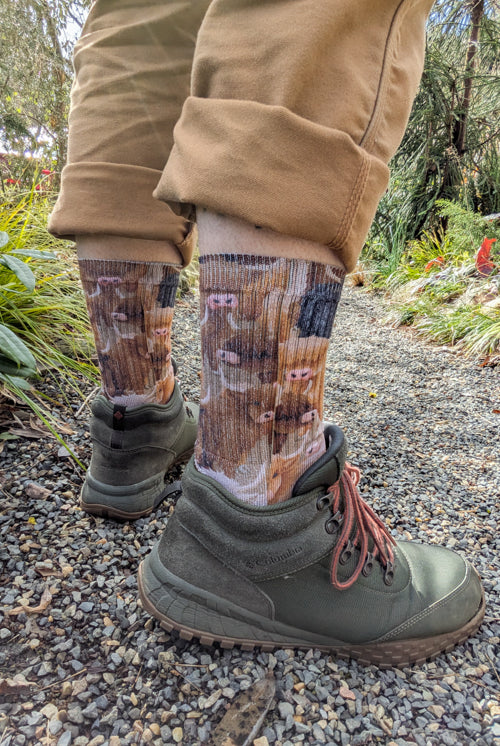 Highland Cows Printed Crew