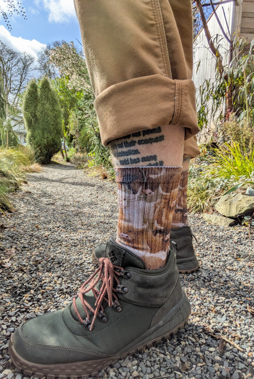 Highland Cows Printed Crew