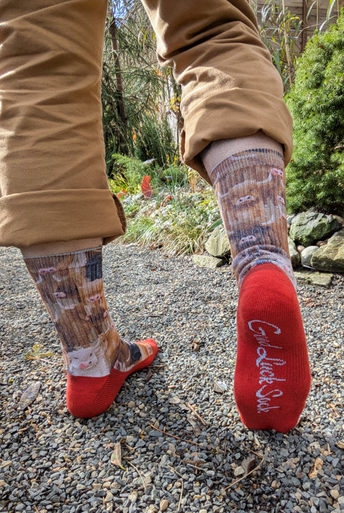 Highland Cows Printed Crew