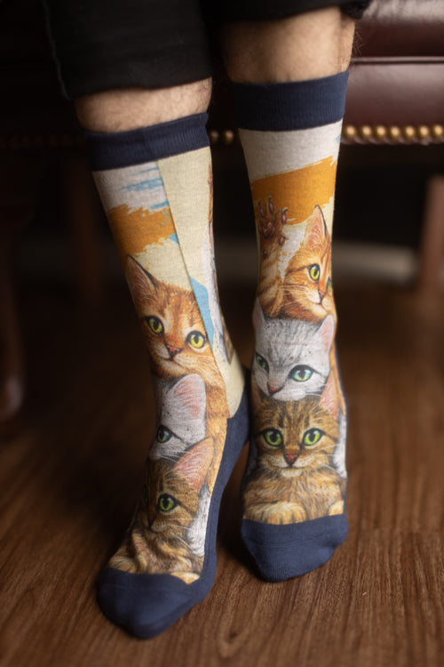 Stack of Cats Crew