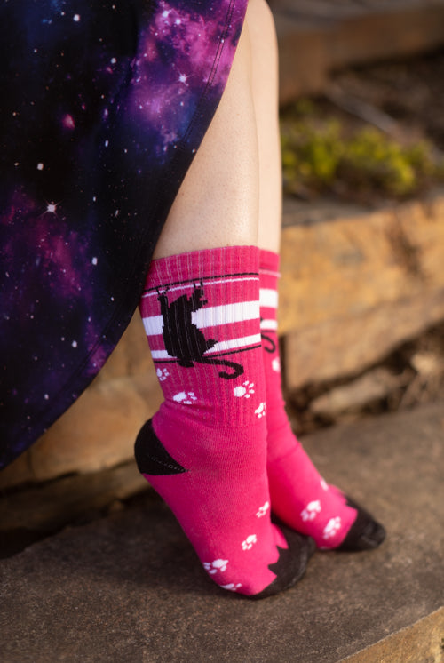 Scratching Black Cat Crew