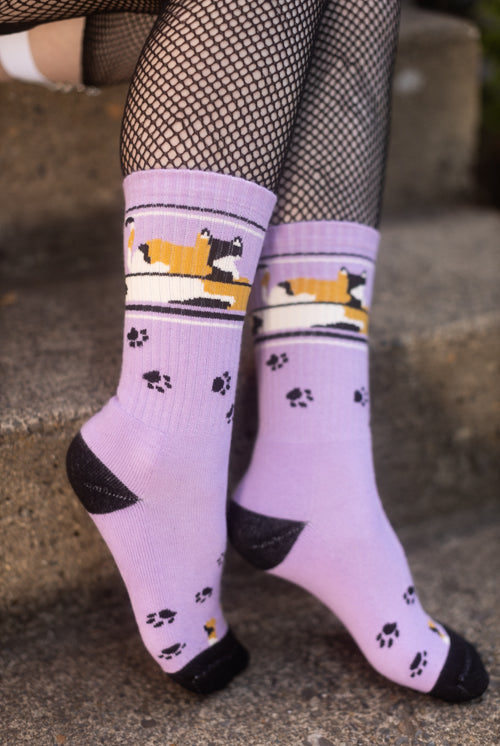 Lounging Calico Cat Crew