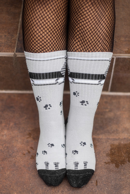 Sitting Gray Tabby Cat Crew