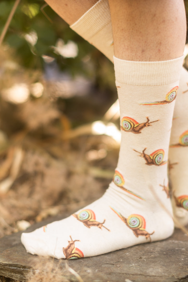 Rainbow Snail Crew - Large