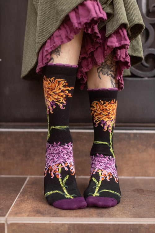 Kiku Chrysanthemum NYBG Crew