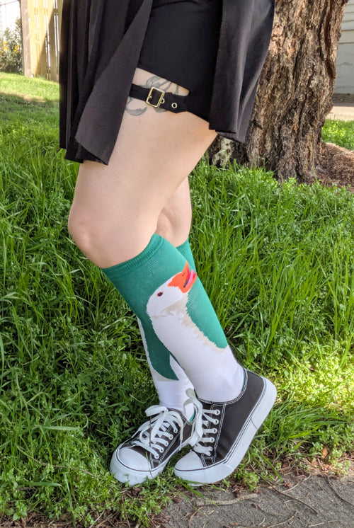 Honk! Knee High