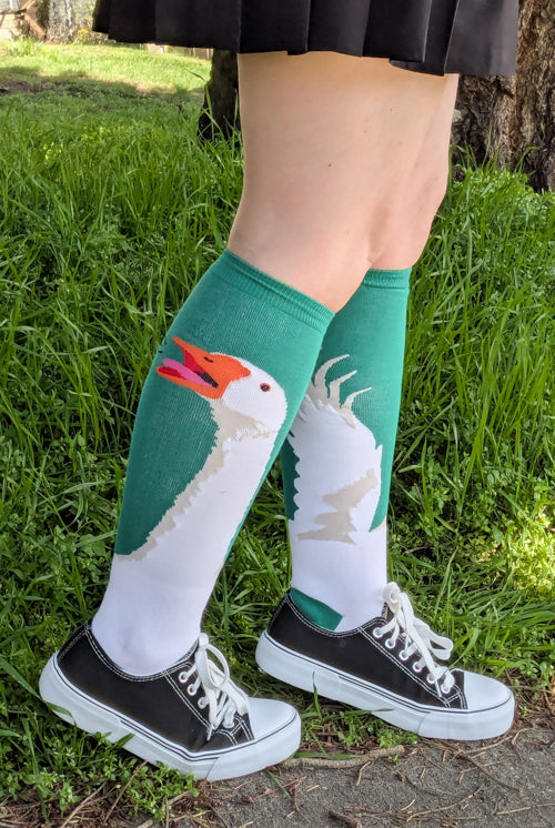 Honk! Knee High