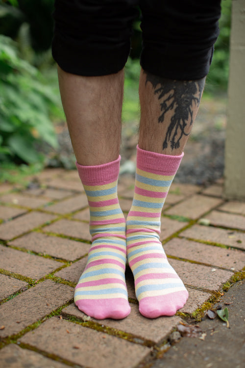 Pride Stripes Cotton Crew Socks - pansexual