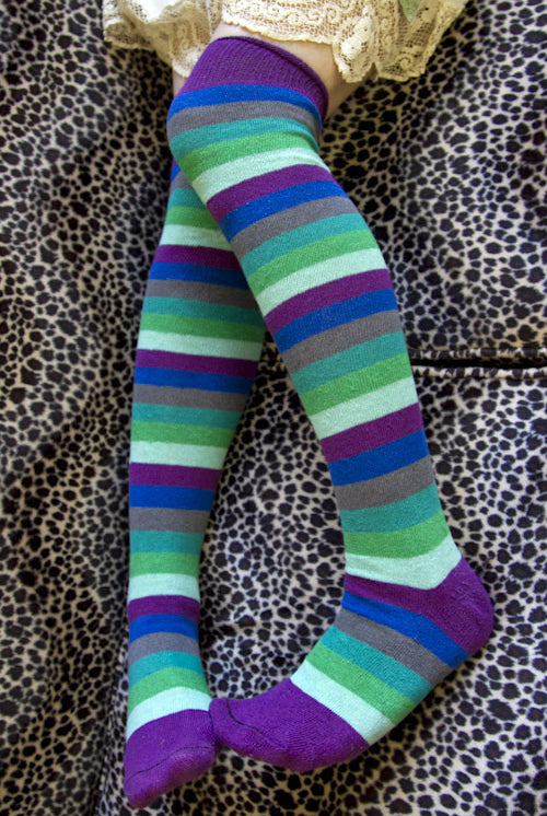 Dreamy Knees - Peacock