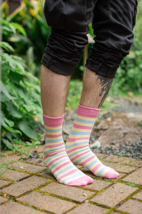Pride Stripes Cotton Crew Socks - pansexual