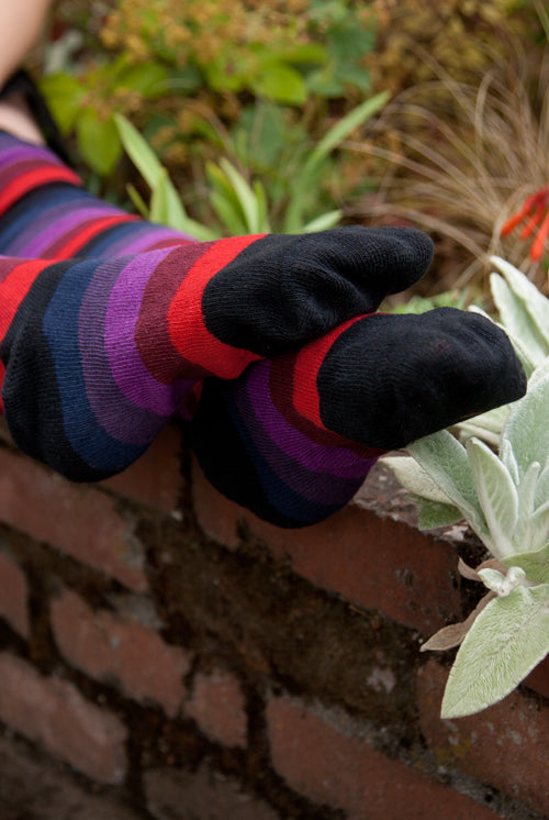 Dreamy Knees - Nightshade