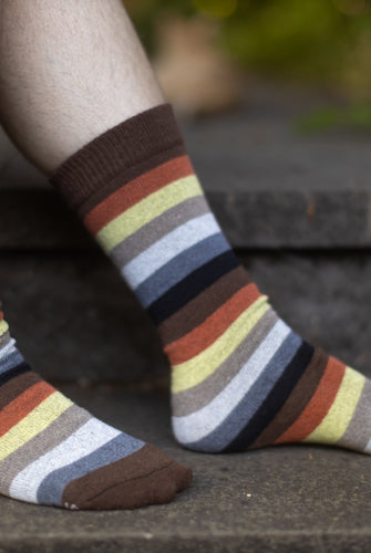 Bear Pride Stripes Crew Tube Socks - $1 donation to PDX ASC