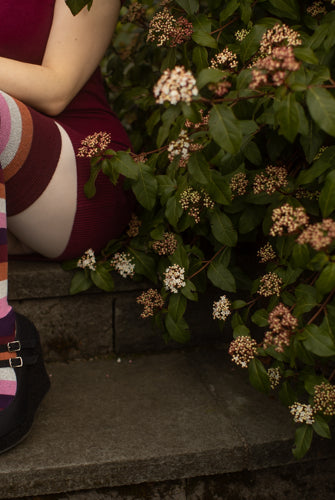 Extraordinary Pride Thigh High Socks - Lesbian - $1 donation to PDX ASC