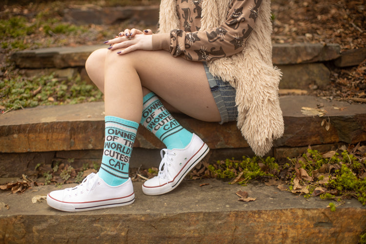 Owner of the World's Cutest Cat Crew