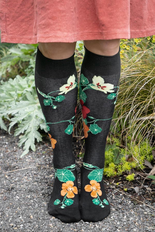 Nasturtiums Knee High