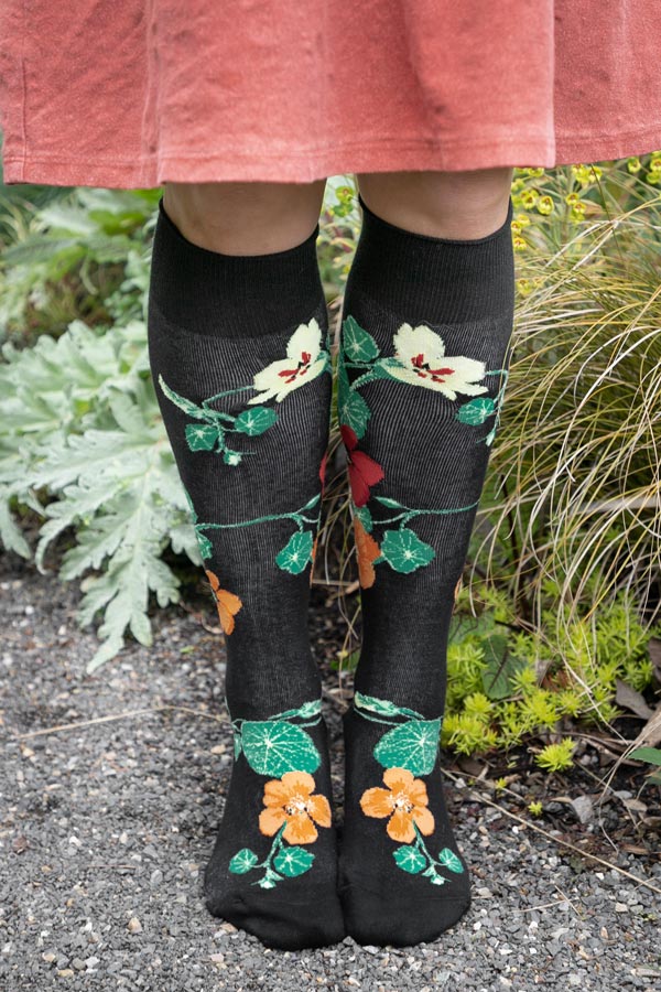 Nasturtiums Knee High