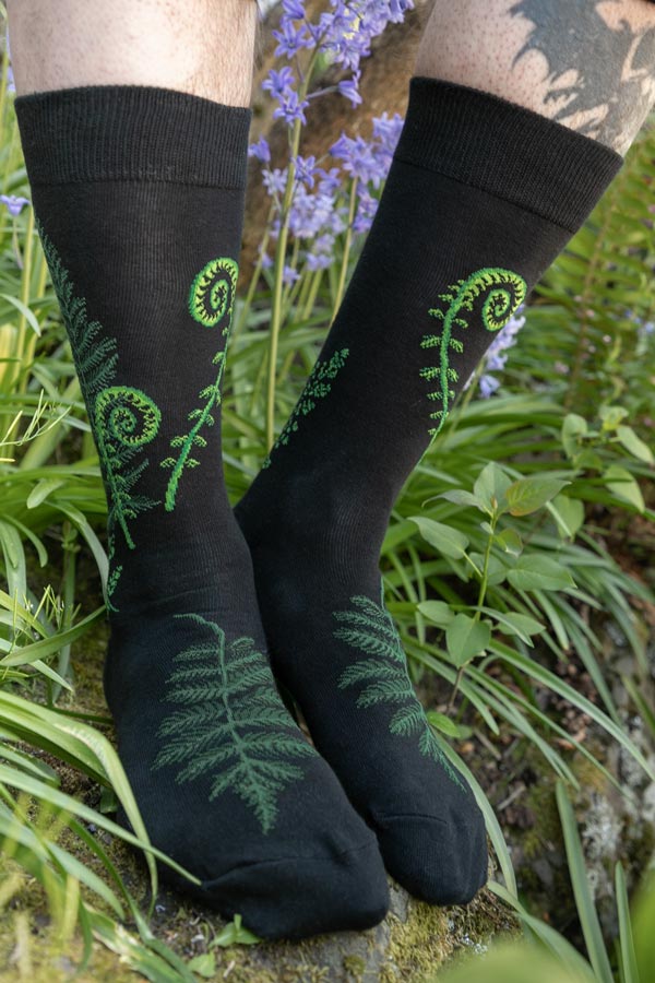 Ferns and Fiddleheads Midcalf