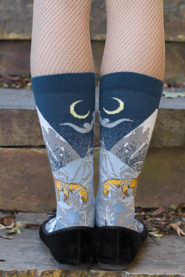 Winter Mount Fuji Midcalf