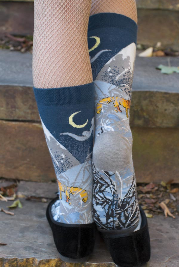 Winter Mount Fuji Midcalf