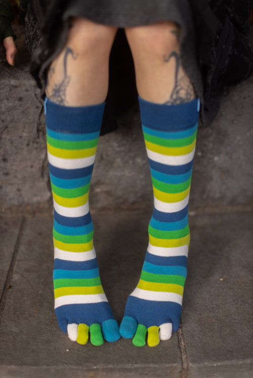 Stripy Crew Toe Socks - Pond