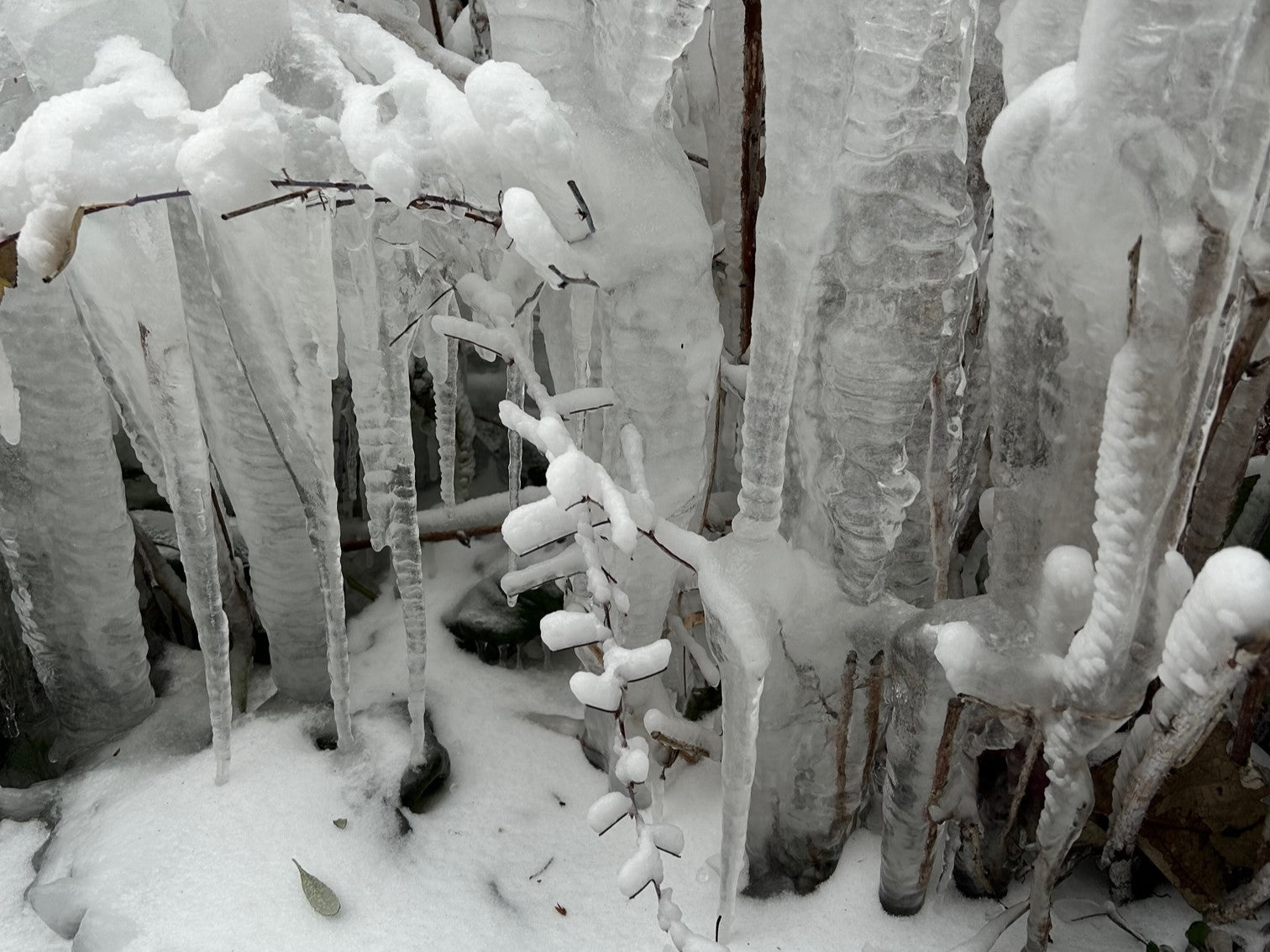 Catching Up After a Winter Storm