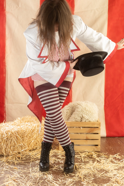 Longer Ringmaster Stripes Extraordinary Thigh High Socks - Morningstar