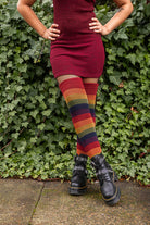 Harvest Rainbow Thigh High Socks