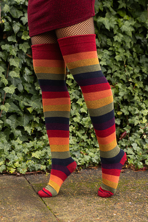 Harvest Rainbow Thigh High Socks