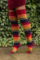 Harvest Rainbow Thigh High Socks