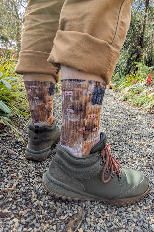 Highland Cows Printed Crew