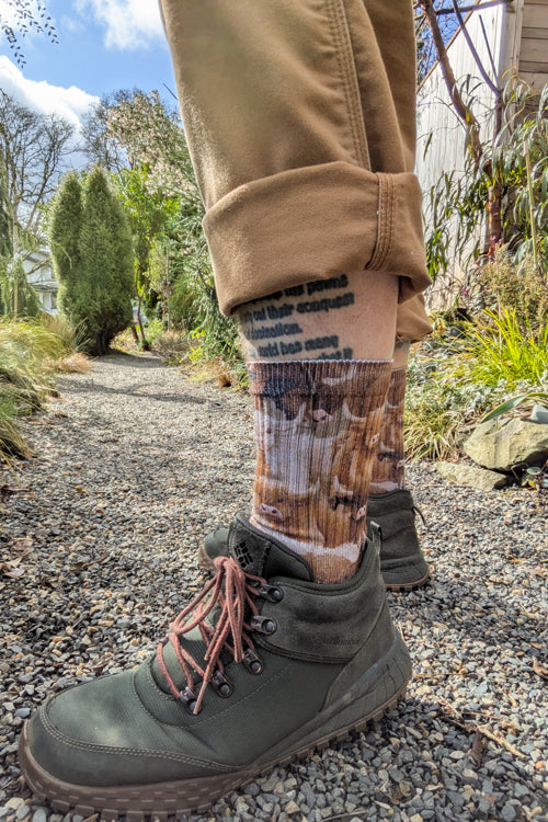 Highland Cows Printed Crew