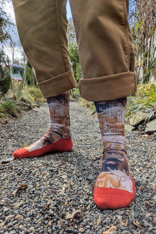 Highland Cows Printed Crew