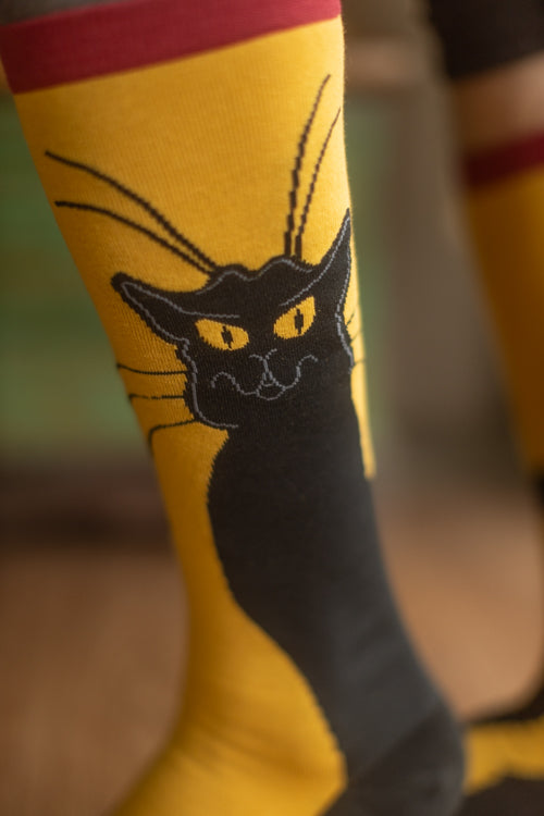 Chat Noir Stretch-It Knee High