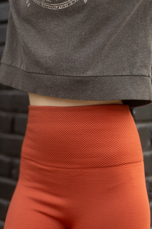 High Waisted Fleece Lined Leggings - copper