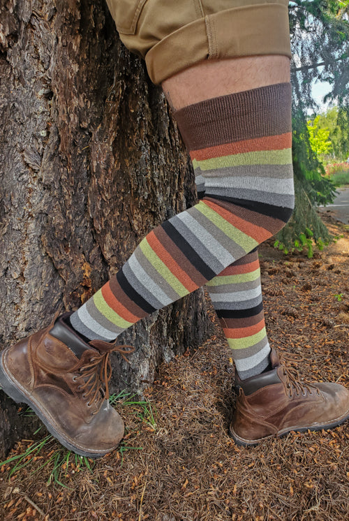 Longer Pride Stripes Cotton Socks - $1 donation to EJI! - Bear