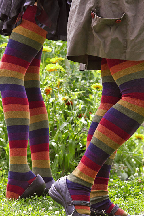 Extraordinarily Longer Harvest Rainbow Socks