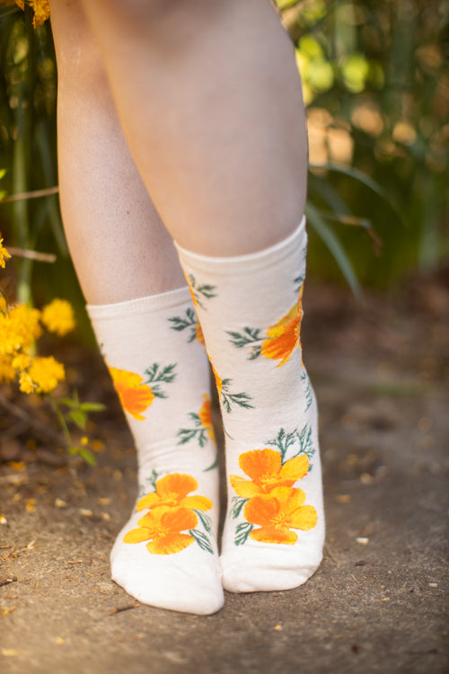 California Poppy Crew – Sock Dreams