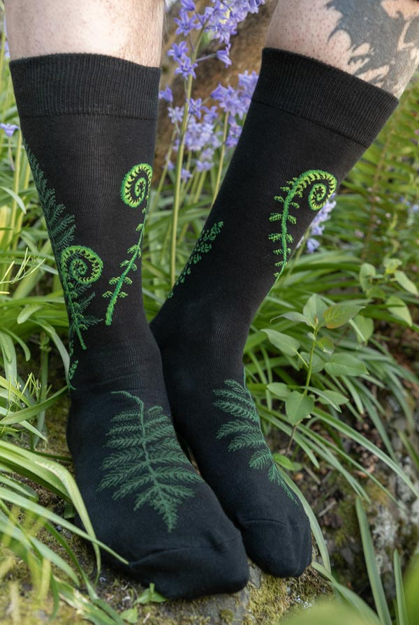 Ferns and Fiddleheads Midcalf