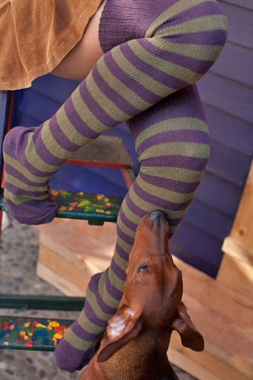 Super Stripes Knee Socks - Plum/Olive